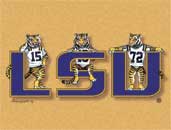 LSU note cards